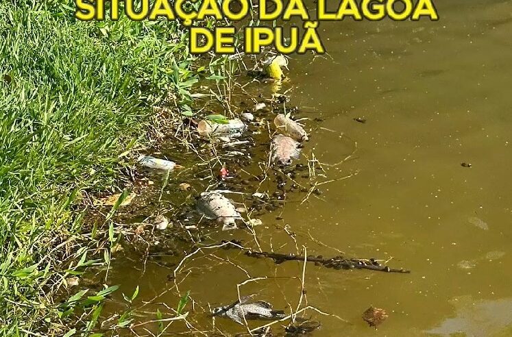 LIXO PODE TER CAUSADO MORTANDADE DE PEIXES EM LAGO DE IPUÂ (SP)