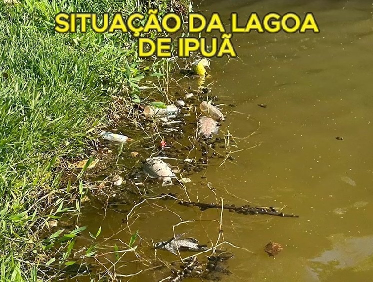 LIXO PODE TER CAUSADO MORTANDADE DE PEIXES EM LAGO DE IPUÂ (SP)