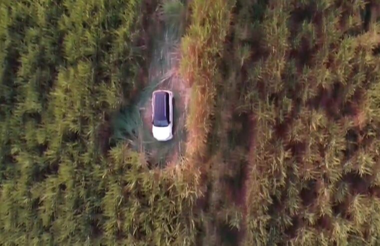 CARRO DE LUXO FURTADO EM BARRETOS É LOCALIZADO EM CANAVIAL DE GUAÍRA