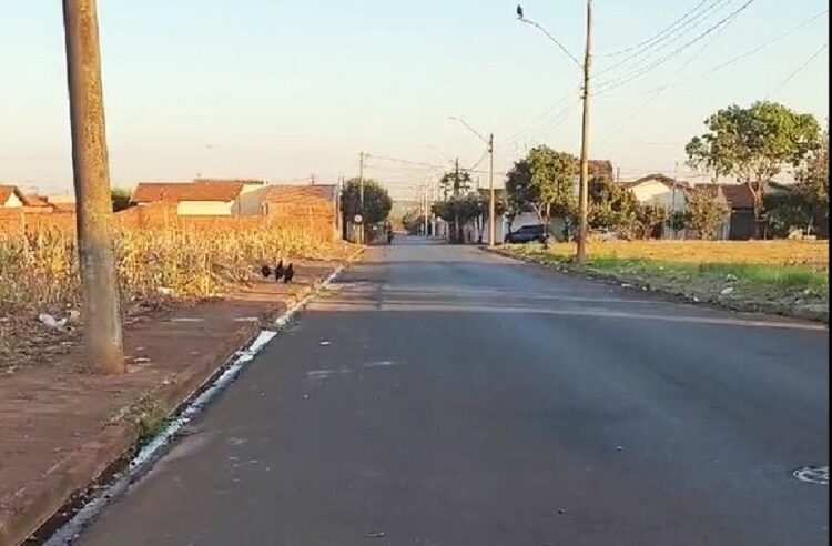 COM VEÍCULOS TRANSITANDO EM ALTA DE VELOCIDADE NO BAIRRO LUÍS AFONSO, MORADORA SOLICITA PROVIDENCIAS DA PREFEITURA DE GUAÍRA