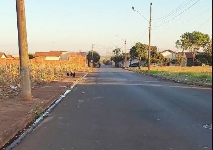 COM VEÍCULOS TRANSITANDO EM ALTA DE VELOCIDADE NO BAIRRO LUÍS AFONSO, MORADORA SOLICITA PROVIDENCIAS DA PREFEITURA DE GUAÍRA