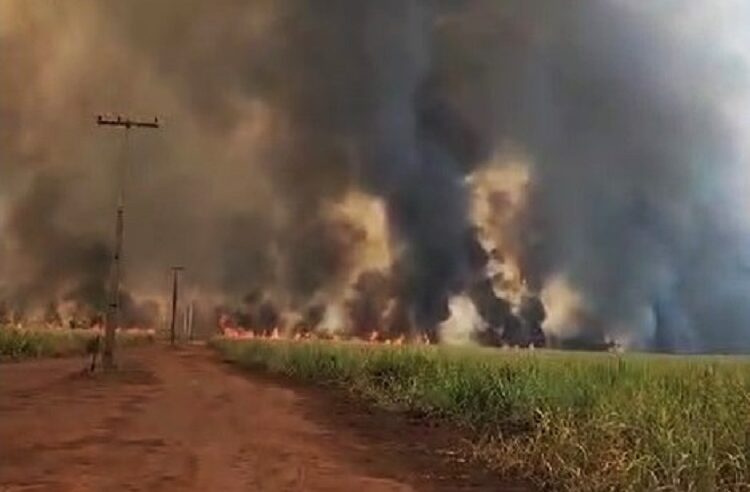 FOGO E DESTRUIÇÃO NA REGIÃO DA MATA EM GUAÍRA (SP)