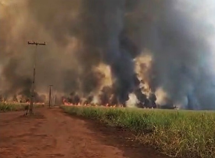FOGO E DESTRUIÇÃO NA REGIÃO DA MATA EM GUAÍRA (SP)