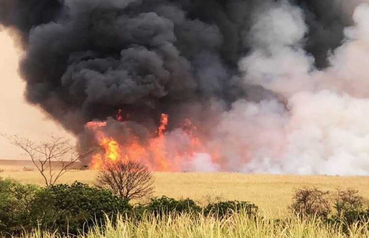 MAIS UM INCÊNDIO DE GRANDES PROPORÇÕES É REGISTRADO NA ZONA RURAL DE GUAÍRA (SP)