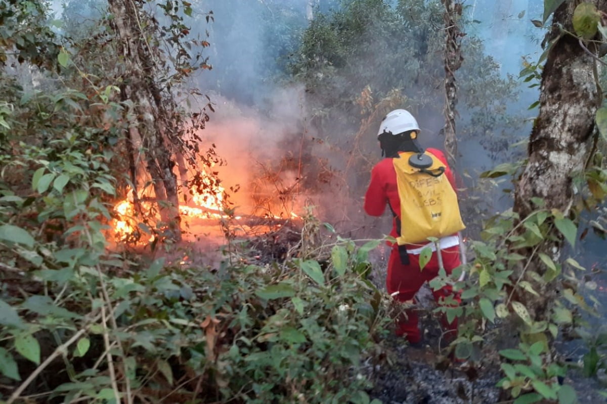 JÁ CHEGAM À 21, AS PRISÕES EM SÃO PAULO DE SUSPEITOS DE ENVOLVIMENTO EM INCÊNDIOS NO ESTADO