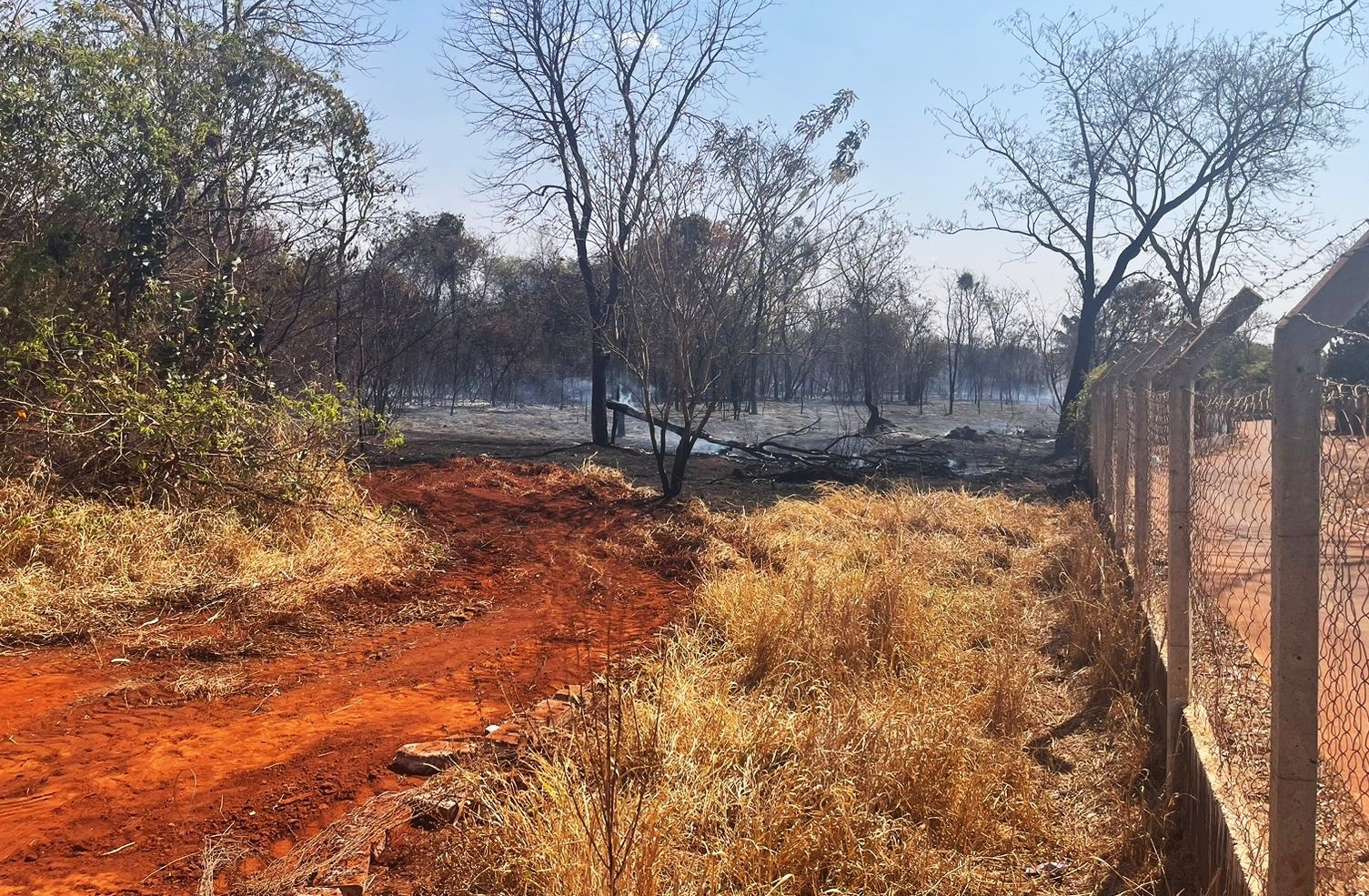 INCÊNDIO ATINGE RESERVA ECOLÓGICA EM GUAÍRA