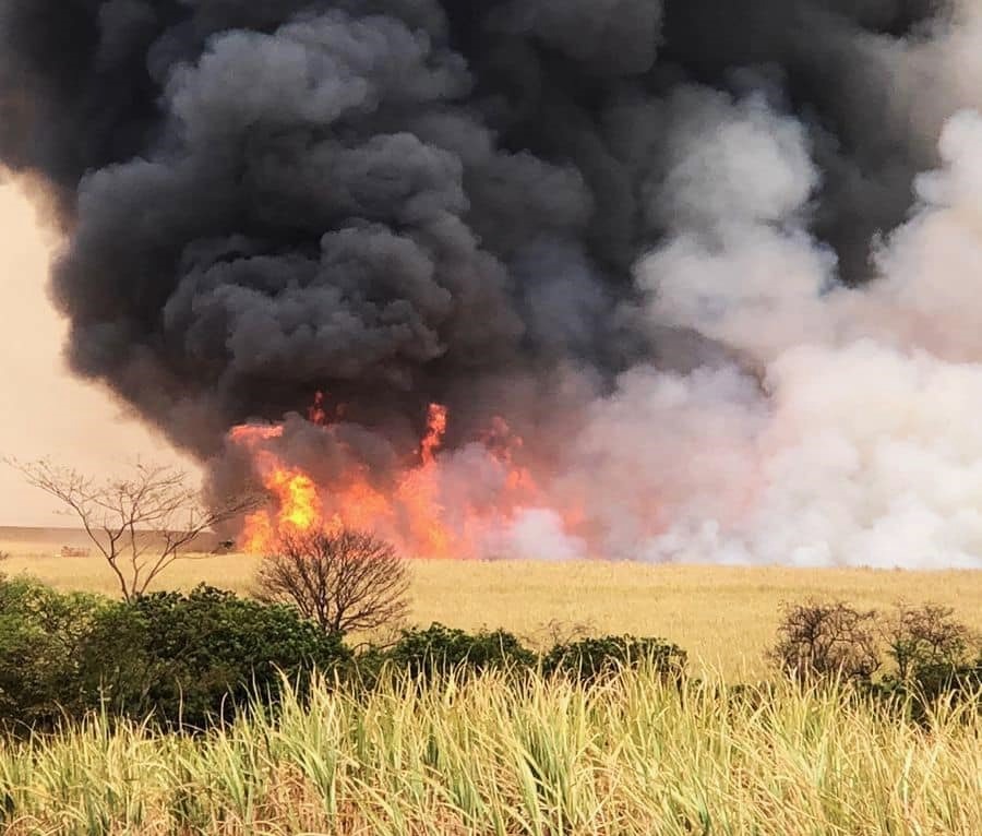 MAIS UM INCÊNDIO DE GRANDES PROPORÇÕES É REGISTRADO NA ZONA RURAL DE GUAÍRA (SP)