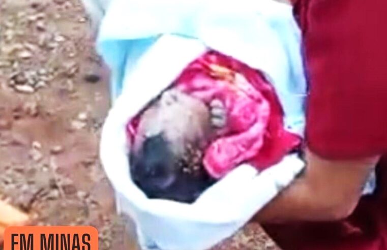 MORRE BEBÊ ABANDONADO EM TERRENO E ATACADO POR CÂES EM MINAS GERAIS