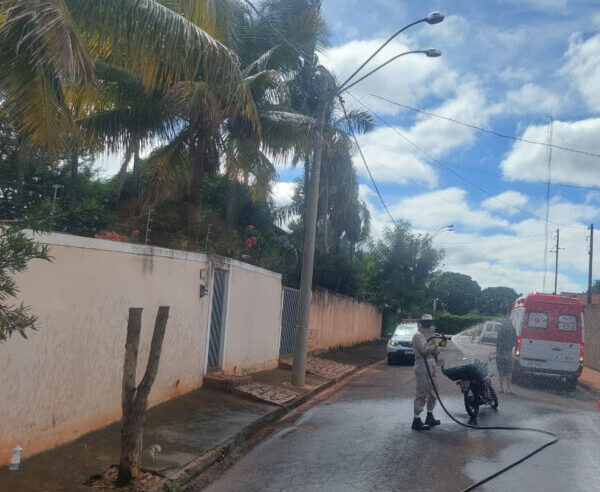 ATAQUE DE ABELHAS CAUSA MORTE DE APOSENTADO EM COLINA (SP)