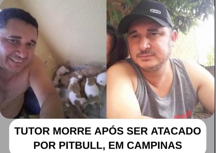 HOMEM É ATACADO E MORTO PELO PRÓPRIO PITBULL DE ESTIMAÇÃO