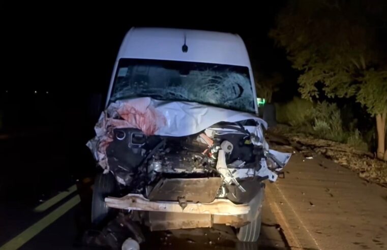 CAVALOS NA PISTA CAUSAM ACIDENTE EM MIGUELÓPOLIS