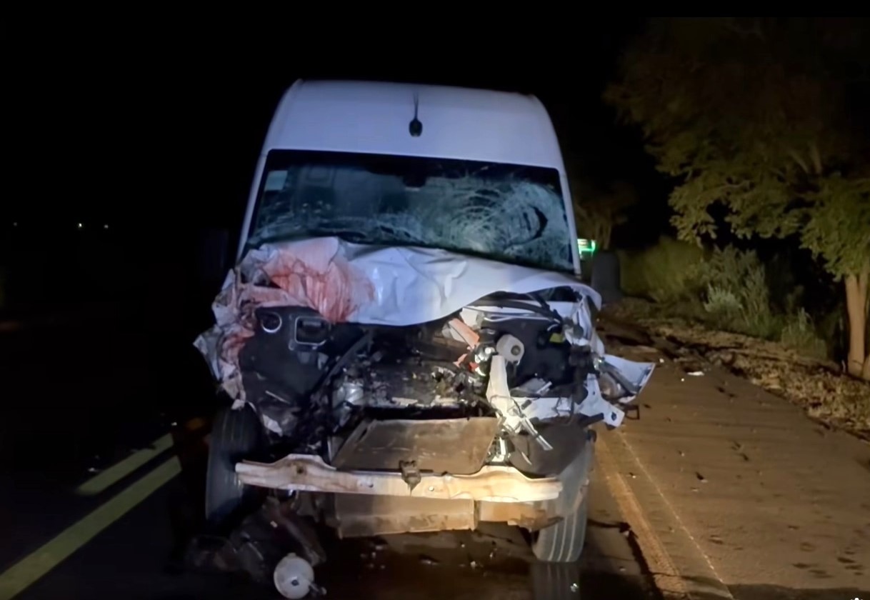 CAVALOS NA PISTA CAUSAM ACIDENTE EM MIGUELÓPOLIS