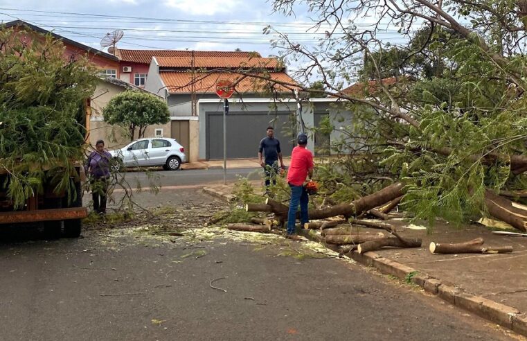 ÁRVORES CAEM DURANTE VENTANIA NESTA SEGUNDA-FEIRA (23) EM GUAÍRA. UMA CASA FOI ATINGIDA