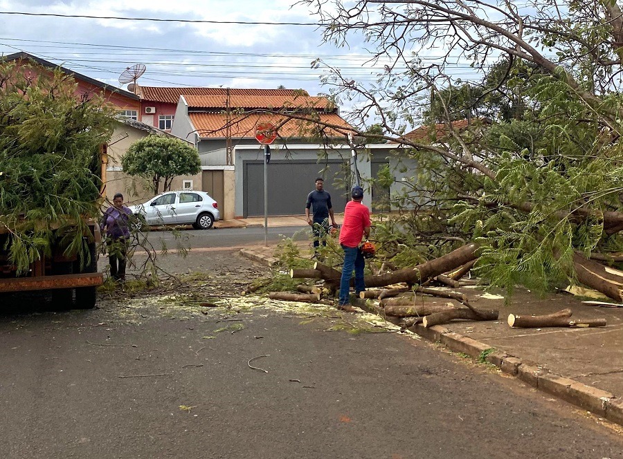 ÁRVORES CAEM DURANTE VENTANIA NESTA SEGUNDA-FEIRA (23) EM GUAÍRA. UMA CASA FOI ATINGIDA