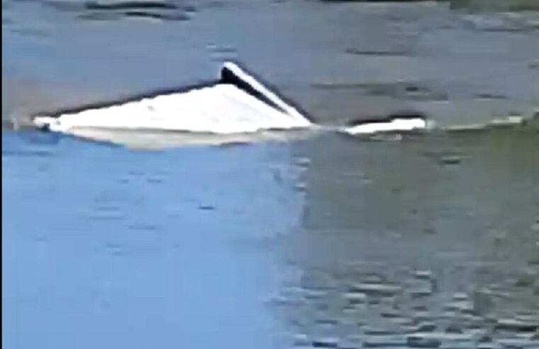 POLÍCIA INVESTIGA DESCARTE DE ENTULHO NO RIO SAPUCAÍ EM GUAÍRA. DENUNCIA PARTIU DE GUARDA MUNICIPAL