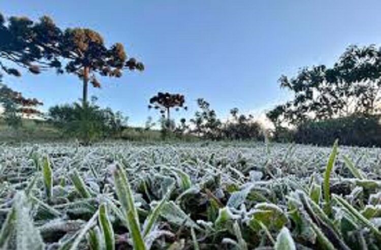 INVERNO COMEÇA NESTA SEXTA-FEIRA (20), COM PRIMEIRA ONDA DE FRIO PREVISTA PARA OS PRÓXIMOS DIAS