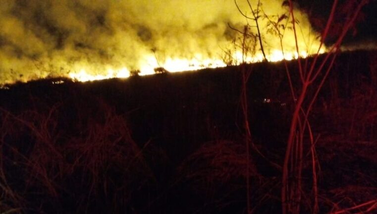 INCÊNDIO DESTRÓI ÁREA DE MATA DE FAZENDA DO INCRA EM COLÔMBIA (SP)