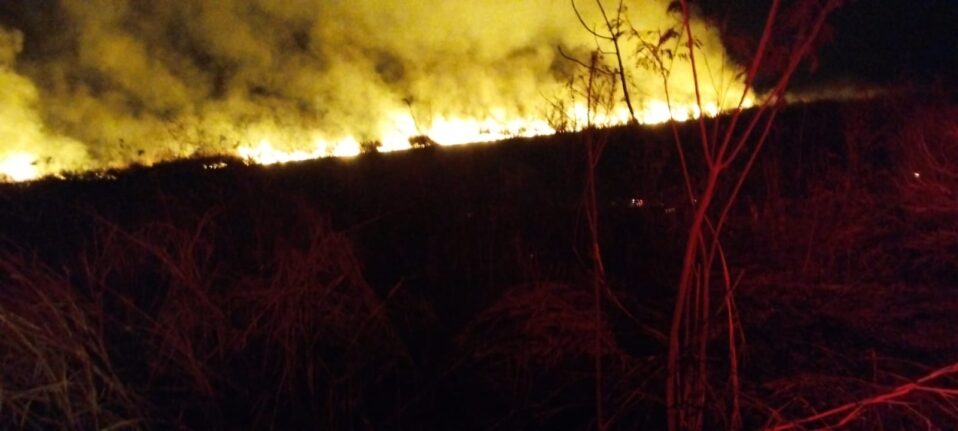 INCÊNDIO DESTRÓI ÁREA DE MATA DE FAZENDA DO INCRA EM COLÔMBIA (SP)