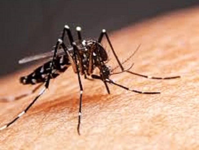 GUAÍRA FECHA 1º SEMESTRE COM MAIS DE 2.700 CASOS POSITIVOS DE DENGUE COM 5 MORTES