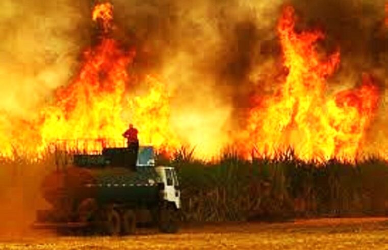 DEFESA CIVIL EMITE ALERTA PARA RISCO CRÍTICO DE QUEIMADAS NA REGIÃO DE BARRETOS