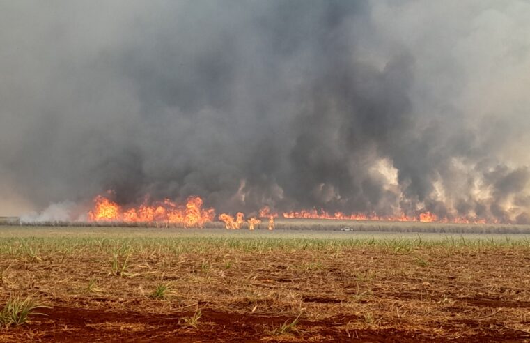 INCÊNDIO DE GRANDES PROPORÇÕES ATINGE ÁREA RURAL DE IPUÂ (SP) NESTA SEGUNDA-FEIRA (8)