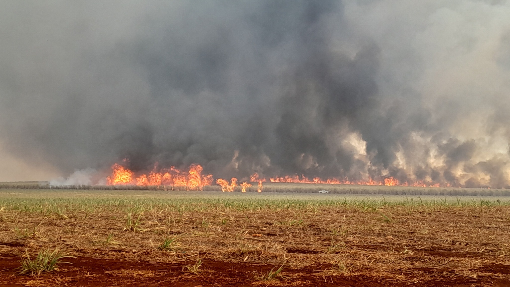 INCÊNDIO DE GRANDES PROPORÇÕES ATINGE ÁREA RURAL DE IPUÂ (SP) NESTA SEGUNDA-FEIRA (8)
