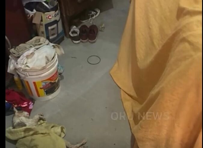 REGIÃO: TRÊS PESSOAS SÃO PRESAS POR ESQUEMA DE VENDA DE SANGUE DE GATOS