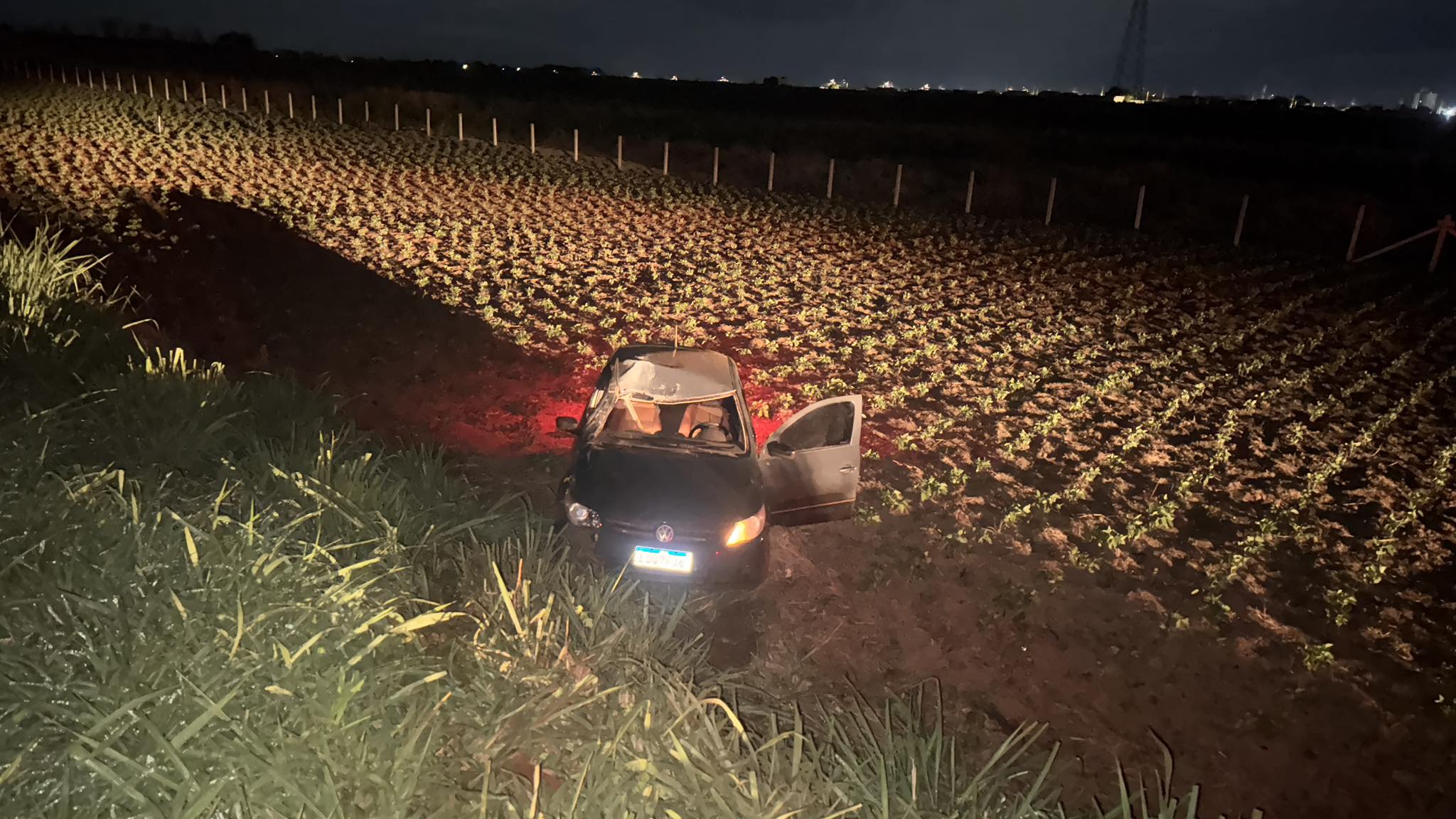 ANIMAL NA PISTA CAUSA GRAVE ACIDENTE EM RODOVIA DE MIGUELÓPOLIS