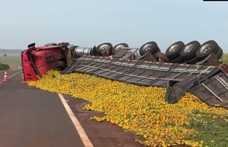 CAMINHÃO CARREGADO COM LARANJAS TOMBA NO TREVO DA VOLTA GRANDE EM MIGUELÓPOLIS