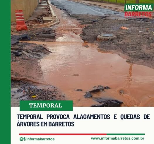 TEMPORAL PROVOCA ALAGAMENTOS E QUEDAS DE ÁRVORES EM BARRETOS