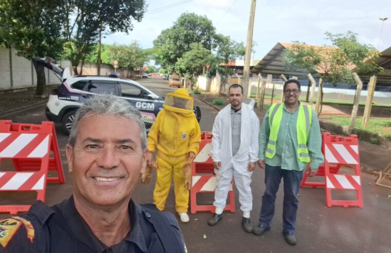 ENXAME DE ABELHAS CAUSA INTERDIÇÃO DE VIA PÚBLICA EM GUAÍRA