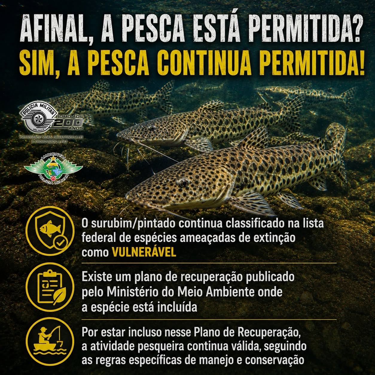 PESCA DO PINTADO CONTINUA LIBERADA NA BACIA DO RIO PARANÁ, DE ACORDO COM COMUNICADO DA POLÍCIA AMBIENTAL