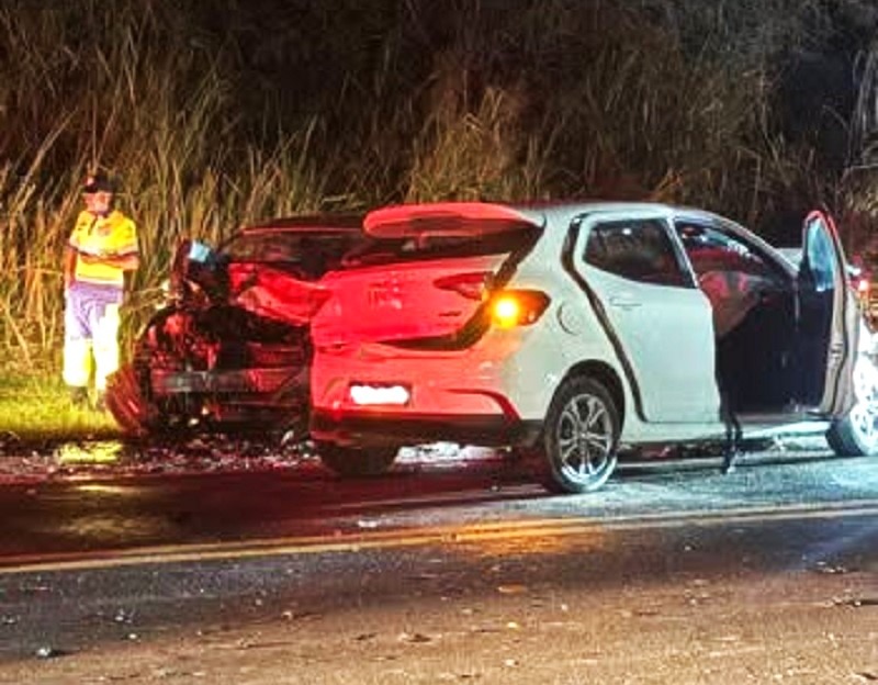 REGIÃO: JAVALI CAUSA ACIDENTE COM VÍTIMA FATAL NA RODOVIA ARMANDO SALES OLIVEIRA