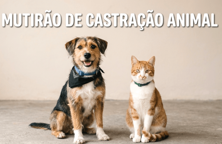 ACONTECE, EM GUAÍRA, NO DIA 29 DE JUNHO MAIS UM MUTIRÃO DE CASTRAÇÃO ANIMAL