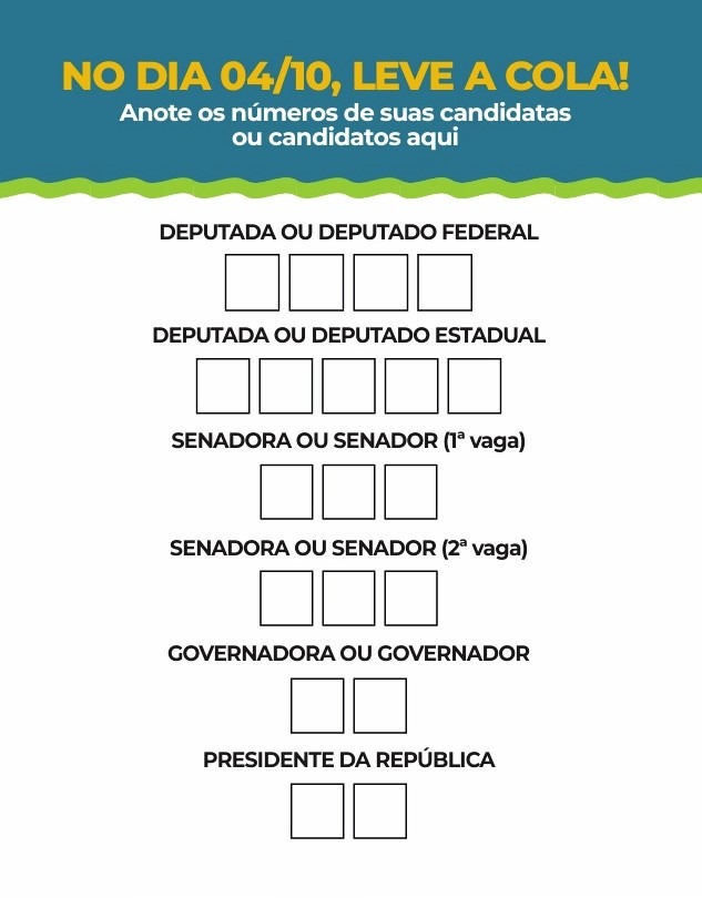 ELEIÇÕES 2026: CONFIRA A ORDEM DE VOTAÇÃO E O MODELO DE COLA ELEITORAL DIVULGADAS PELO TRE-SP