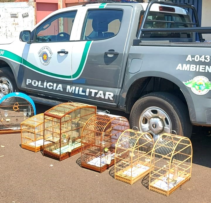 REGIÃO: CRIADOR DE AVES É AUTUADO PELA POLÍCIA AMBIENTAL EM PATROCÍNIO PAULISTA (SP)